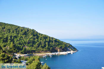 Bij Pefkos | Skyros Griekenland - Foto van https://www.grieksegids.nl/fotos/skyros/normaal/skyros-grieksegids-022.jpg