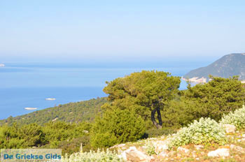 Uitzicht op baai Pefkos | Agios Panteleimon | Skyros foto 4 - Foto van https://www.grieksegids.nl/fotos/skyros/normaal/skyros-grieksegids-032.jpg