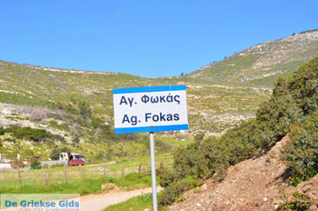 Bij Aghios Fokas | Skyros Griekenland foto 5 - Foto van https://www.grieksegids.nl/fotos/skyros/normaal/skyros-grieksegids-058.jpg