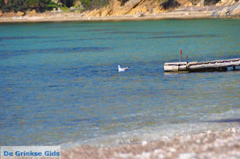 Bij Aghios Fokas | Skyros Griekenland foto 11 - Foto van https://www.grieksegids.nl/fotos/skyros/normaal/skyros-grieksegids-064.jpg