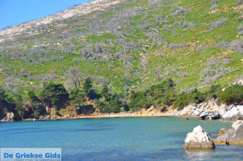 Bij Aghios Fokas | Skyros Griekenland foto 20 - Foto van https://www.grieksegids.nl/fotos/skyros/normaal/skyros-grieksegids-073.jpg
