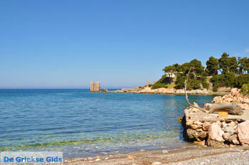 Bij Atsitsa | Skyros Griekenland foto 10 - Foto van https://www.grieksegids.nl/fotos/skyros/normaal/skyros-grieksegids-086.jpg