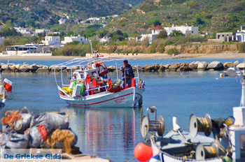 Haventje bij Magazia | Skyros Griekenland foto 3 - Foto van https://www.grieksegids.nl/fotos/skyros/normaal/skyros-grieksegids-108.jpg