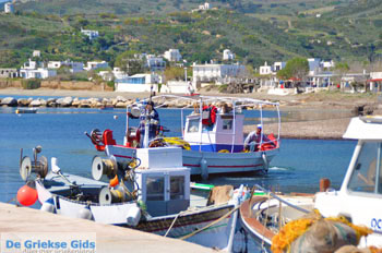 Haventje bij Molos en Magazia | Skyros Griekenland foto 4 - Foto van https://www.grieksegids.nl/fotos/skyros/normaal/skyros-grieksegids-110.jpg