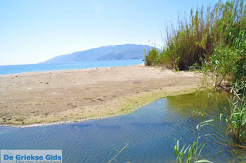 Bij Molos en Magazia | Skyros Griekenland foto 6 - Foto van https://www.grieksegids.nl/fotos/skyros/normaal/skyros-grieksegids-115.jpg