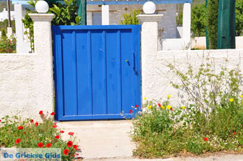 Bij Molos en Magazia | Skyros Griekenland foto 9 - Foto van https://www.grieksegids.nl/fotos/skyros/normaal/skyros-grieksegids-118.jpg