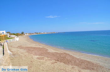 Bij Molos en Magazia | Skyros Griekenland foto 11 - Foto van https://www.grieksegids.nl/fotos/skyros/normaal/skyros-grieksegids-120.jpg