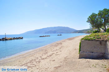 Bij Molos en Magazia | Skyros Griekenland foto 12 - Foto van https://www.grieksegids.nl/fotos/skyros/normaal/skyros-grieksegids-121.jpg