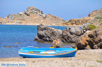 Aspous | Skyros Griekenland 16 - Foto van https://www.grieksegids.nl/fotos/skyros/normaal/skyros-grieksegids-166.jpg