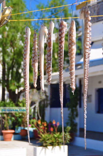 Linaria | Skyros Griekenland 12 - Foto van https://www.grieksegids.nl/fotos/skyros/normaal/skyros-grieksegids-190.jpg