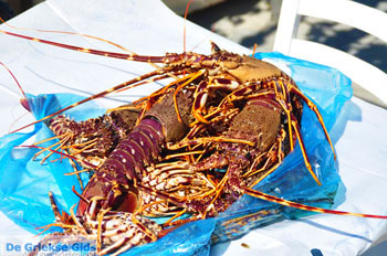 Linaria | Skyros Griekenland 13 - Foto van https://www.grieksegids.nl/fotos/skyros/normaal/skyros-grieksegids-191.jpg