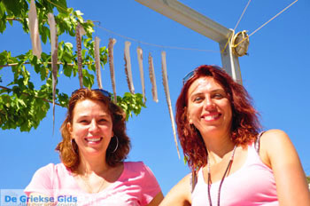 Linaria | Skyros Griekenland 17 - Foto van https://www.grieksegids.nl/fotos/skyros/normaal/skyros-grieksegids-195.jpg