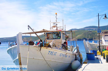 Linaria | Skyros Griekenland 18 - Foto van https://www.grieksegids.nl/fotos/skyros/normaal/skyros-grieksegids-196.jpg