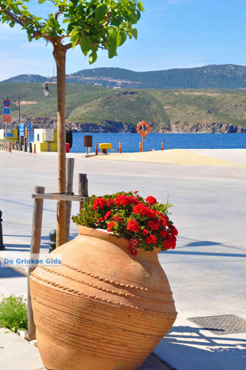 Linaria | Skyros Griekenland 21 - Foto van https://www.grieksegids.nl/fotos/skyros/normaal/skyros-grieksegids-199.jpg