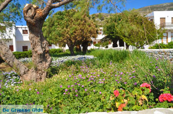 Kalamitsa  | Skyros Griekenland foto 4 - Foto van https://www.grieksegids.nl/fotos/skyros/normaal/skyros-grieksegids-207.jpg