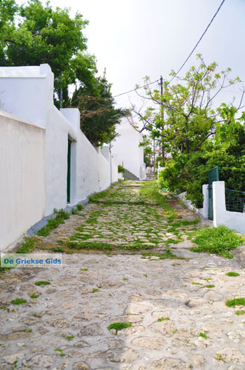 Skyros stad | Skyros Griekenland 39 - Foto van https://www.grieksegids.nl/fotos/skyros/normaal/skyros-grieksegids-265.jpg