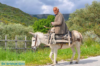 Man met Skyriaanse sandalen | Skyros Griekenland | Foto 1 - Foto van https://www.grieksegids.nl/fotos/skyros/normaal/skyros-grieksegids-336.jpg