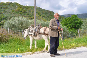 Man met Skyriaanse sandalen | Skyros Griekenland | Foto 3 - Foto van https://www.grieksegids.nl/fotos/skyros/normaal/skyros-grieksegids-338.jpg