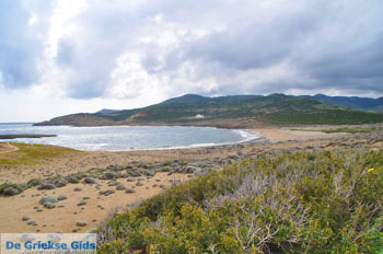 Palamari Skyros | Griekenland 3 - Foto van https://www.grieksegids.nl/fotos/skyros/normaal/skyros-grieksegids-343.jpg