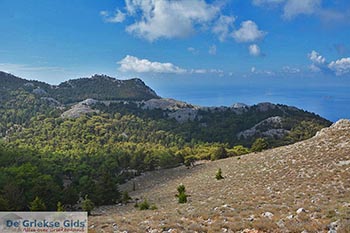Bergen Eiland Symi - Dodecanese foto 3 - Foto van https://www.grieksegids.nl/fotos/symi/normaal/symi-grieksegids-042.jpg