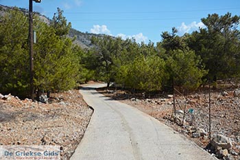 Marathounta Symi - Dodecanese foto 2 - Foto van https://www.grieksegids.nl/fotos/symi/normaal/symi-grieksegids-072.jpg