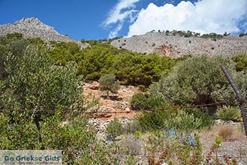 Marathounta Symi - Dodecanese foto 15 - Foto van https://www.grieksegids.nl/fotos/symi/normaal/symi-grieksegids-085.jpg