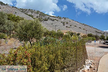 Marathounta Symi - Dodecanese foto 16 - Foto van https://www.grieksegids.nl/fotos/symi/normaal/symi-grieksegids-086.jpg