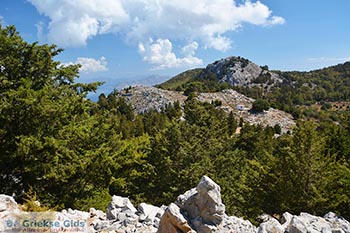 Bergen van Symi - Dodecanese foto 31 - Foto van https://www.grieksegids.nl/fotos/symi/normaal/symi-grieksegids-101.jpg