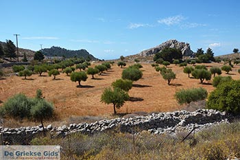 Bergen van Symi - Dodecanese foto 39 - Foto van https://www.grieksegids.nl/fotos/symi/normaal/symi-grieksegids-109.jpg