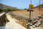 Kampos | Noord Syros | Griekenland | foto 32 - Foto van De Griekse Gids