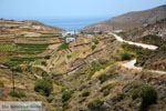 Noord Syros | Griekenland 63 - Foto van De Griekse Gids