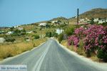 GriechenlandWeb.de Onderweg van Vari naar Megas Gialos | Griechenland foto 1 - Foto GriechenlandWeb.de
