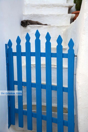 Ano Syros | Griekenland 23 - Foto van https://www.grieksegids.nl/fotos/syros/normaal/ano-syros-023.jpg