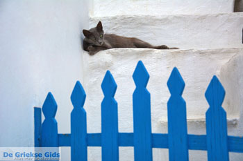 Ano Syros | Griekenland 24 - Foto van https://www.grieksegids.nl/fotos/syros/normaal/ano-syros-024.jpg