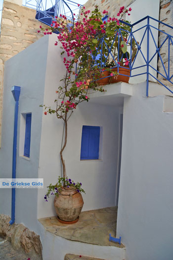 Ano Syros | Griekenland 29 - Foto van https://www.grieksegids.nl/fotos/syros/normaal/ano-syros-029.jpg