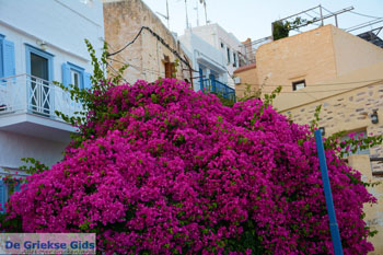 Ano Syros | Griekenland 40 - Foto van https://www.grieksegids.nl/fotos/syros/normaal/ano-syros-040.jpg