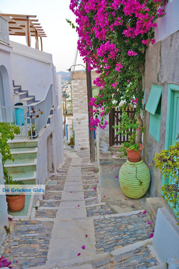 Ano Syros | Griekenland 42 - Foto van https://www.grieksegids.nl/fotos/syros/normaal/ano-syros-042.jpg