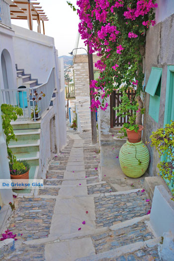 Ano Syros | Griekenland 43 - Foto van https://www.grieksegids.nl/fotos/syros/normaal/ano-syros-043.jpg