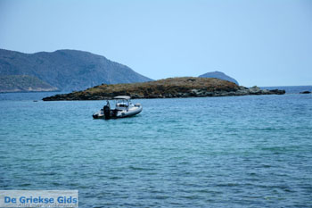 Delfini Beach bij Kini | Syros | Griekenland foto 9 - Foto van https://www.grieksegids.nl/fotos/syros/normaal/delfini-kini-syros-009.jpg