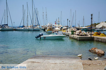 Finikas | Syros | Griekenland foto 16 - Foto van https://www.grieksegids.nl/fotos/syros/normaal/finikas-syros-015.jpg