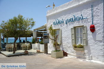 Kini | Syros | Griekenland foto 29 - Foto van https://www.grieksegids.nl/fotos/syros/normaal/kini-syros-029.jpg