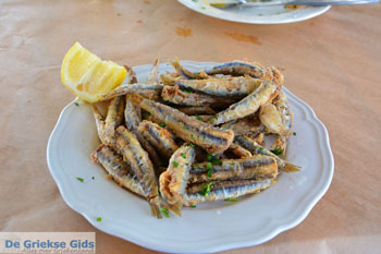 Kini | Syros | Griekenland foto 37 - Foto van https://www.grieksegids.nl/fotos/syros/normaal/kini-syros-037.jpg