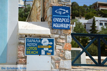 Kini | Syros | Griekenland foto 45 - Foto van https://www.grieksegids.nl/fotos/syros/normaal/kini-syros-045.jpg