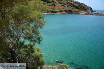 Strand Lotos bij Kini | Syros | Griekenland foto 61 - Foto van https://www.grieksegids.nl/fotos/syros/normaal/kini-syros-061.jpg