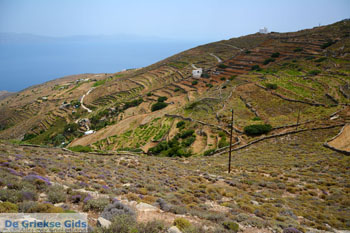 Noord Syros | Griekenland 6 - Foto van https://www.grieksegids.nl/fotos/syros/normaal/noord-syros-006.jpg