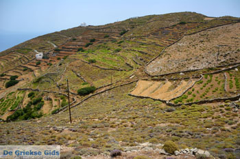 Noord Syros | Griekenland 7 - Foto van https://www.grieksegids.nl/fotos/syros/normaal/noord-syros-007.jpg