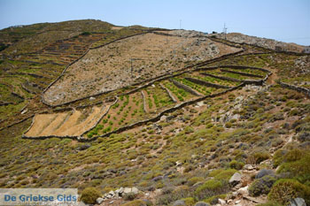 Noord Syros | Griekenland 8 - Foto van https://www.grieksegids.nl/fotos/syros/normaal/noord-syros-008.jpg