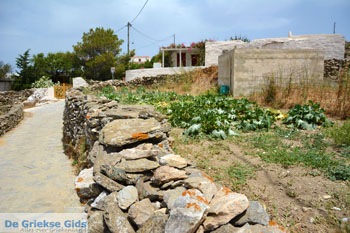 Sa Michalis | Noord Syros | Griekenland foto 15 - Foto van https://www.grieksegids.nl/fotos/syros/normaal/noord-syros-015.jpg