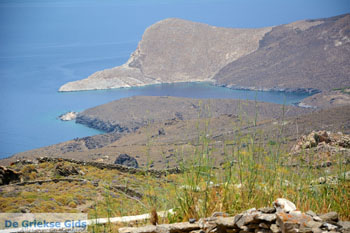Sa Michalis | Noord Syros | Griekenland foto 17 - Foto van https://www.grieksegids.nl/fotos/syros/normaal/noord-syros-017.jpg