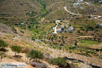 Noord Syros | Griekenland 48 - Foto van https://www.grieksegids.nl/fotos/syros/normaal/noord-syros-048.jpg